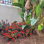 Santa Maria Greenhills