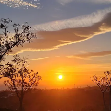 Santa Maria Greenhills *