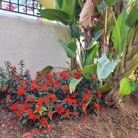 Santa Maria Greenhills