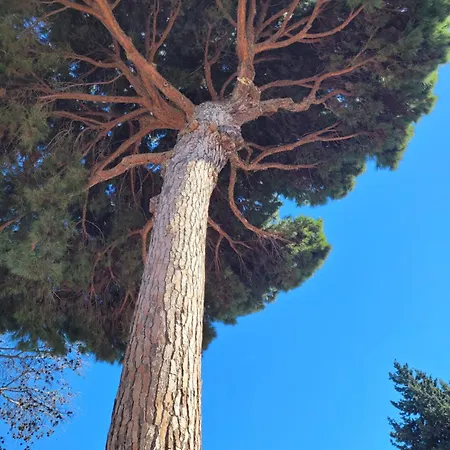 Διαμέρισμα Santa Maria Greenhills Μαρμπέλλα