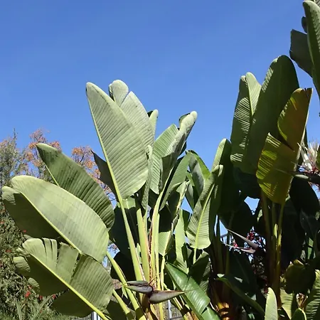 Διαμέρισμα Santa Maria Greenhills Μαρμπέλλα