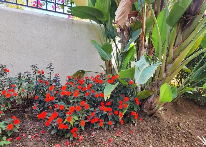 Santa Maria Greenhills