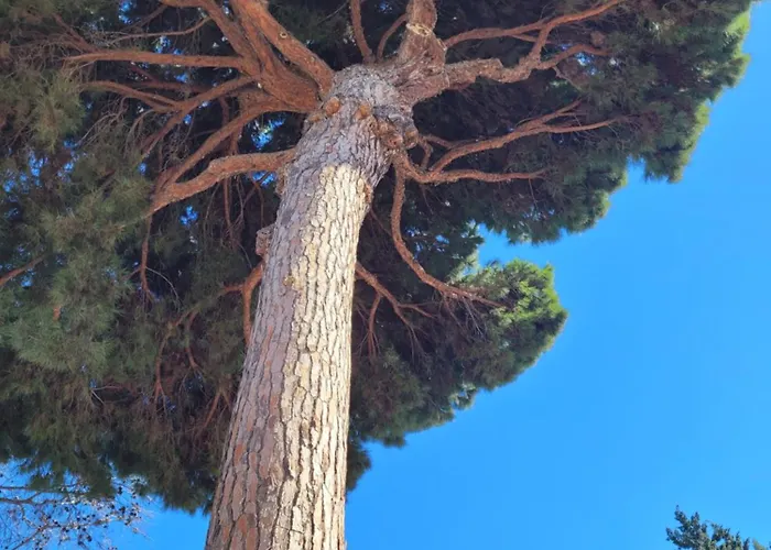 Apartament Santa Maria Greenhills Marbella