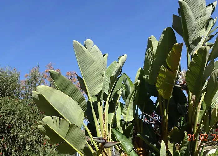 Apartament Santa Maria Greenhills Marbella